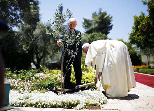 Pope Francis (R) and Israel's President Shimon Peres plant an olive tree after their meeting at the president's residence in Jerusalem May 26, 2014